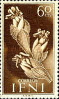 Flora & Fauna — 60C, brown, Traganum sp.