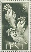 Flora & Fauna — 5Pts, black, Traganum sp.