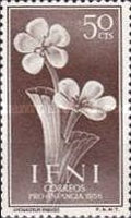 Child Welfare - Local Flora — 50C, brown, Limoniastrum ifniense