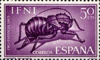 Child Welfare - Insects — 50C, reddish purple, Eugaster fernandez