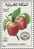 Fruits — 1.00(Dh), multicoloured