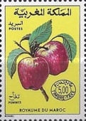 Fruits — 5.00(Dh), multicoloured