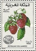 Fruits — 2.00(Dh), multicoloured