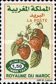 Fruits — 1.50(Dh), multicoloured