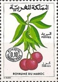 Fruits - Inscription "ROYAUME DU MAROC" — 0.10(Dh), multicoloured
