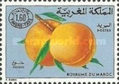 Fruits — 1.60(Dh), multicoloured