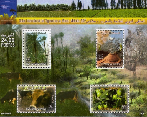 International Meeting of Agriculture in Meknès, Morocco — 3.25(Dh), multicoloured