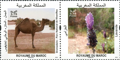 Flora and Fauna — 3.75(Dh), multicoloured