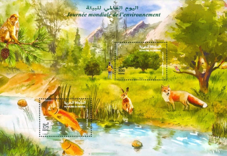 World Environment Day — 3.75(Dh), multicoloured, Salmo trutta
