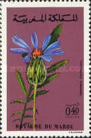 Moroccan Flowers — 0.40(Dh), multicoloured, Amberboa crupinoides