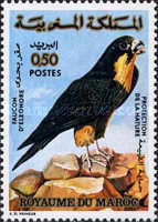 Nature Protection — 0.50(Dh), multicoloured, Falco eleonorae
