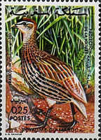 Moroccan Animals — 0.25(Dh), multicoloured, Francolinus bicalcaratus