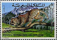 Moroccan Animals — 0.70(Dh), multicoloured, Panthera pardus
