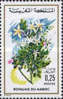 Flowers — 0.25(Dh), multicoloured, Jasminum grandiflorum