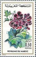 Flowers — 0.50(Dh), multicoloured, Pelargonium sp.