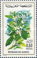 Flowers — 0.60(Dh), multicoloured, Citrus aurantium