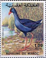 Birds — 1.00(Dh), multicoloured, Porphyrio porphyrio