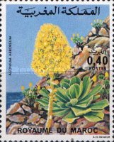 Flowers — 0.40(Dh), multicoloured, Aeonium arboreum