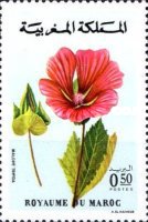 Flowers — 0.50(Dh), multicoloured, Malope trifida