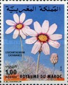Flowers — 1.00(Dh), multicoloured, Leucanthemum catananche