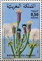 Flowers — 0.50(Dh), multicoloured, Senecio antheuphorbium