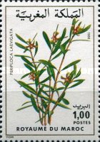Flowers — 1.00(Dh), multicoloured, Periploca laevigata