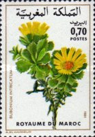 Flowers — 0.70(Dh), multicoloured, Bubonium intricatum