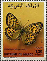 Butterflies and Moths — 1.30(Dh), multicoloured, Mesoacidalia aglaja lyauteyi