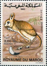 Animals — 2.00(Dh), multicoloured, Jaculus jaculus