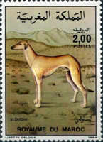 Dogs — 2.00(Dh), multicoloured, Canis familiaris