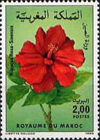 Flowers — 2.00(Dh), multicoloured, Hibiscus rosasinensis
