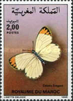 Butterflies — 2.00(Dh), multicoloured, Colotis evagore