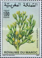 Flowers — 1.00(Dh), multicoloured, Zygophyllum fontanesii