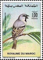 Birds — 1.00(Dh), multicoloured, Passer simplex saharae