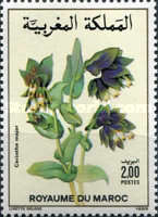 Flowers — 2.00(Dh), multicoloured, Cerinthe major