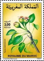 Flowers — 3.00(Dh), multicoloured, Pyrus mamorensis