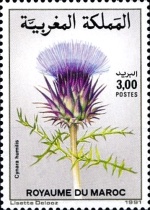 Flowers — 3.00(Dh), multicoloured, Cynara humilis