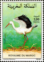 Birds — 3.00(Dh), multicoloured, Ciconia ciconia