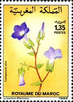 Flowers — 1.35(Dh), multicoloured, Campanula afra