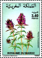 Flowers — 3.40(Dh), multicoloured, Thymus broussonetii