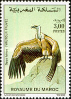 Birds — 3.00(Dh), multicoloured, Gyps fulvus