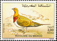 Birds — 3.00(Dh), multicoloured, Pterocles alchata