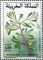 Argan Oil — 4.80(Dh), multicoloured