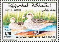 Birds — 1.70(Dh), multicoloured, Anas angustirostris