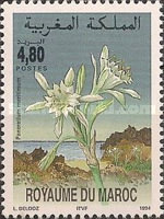 Flowers — 4.80(Dh), multicoloured, Pancratium maritimum