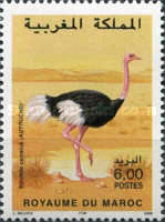 Birds — 6.00(Dh), multicoloured, Struthio camelus