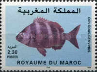 Fish — 2.30(Dh), multicoloured, Diplodus cervinus