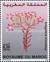 Flowers — 6.50(Dh), multicoloured, Pistorica breviflora
