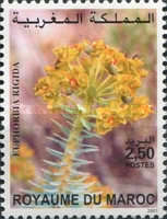 Flowers — 2.50(Dh), multicoloured, Euphorbia rigida
