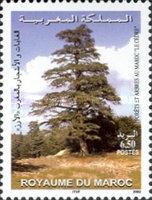 Trees — 6.50(Dh), multicoloured, Cedrus atlantica